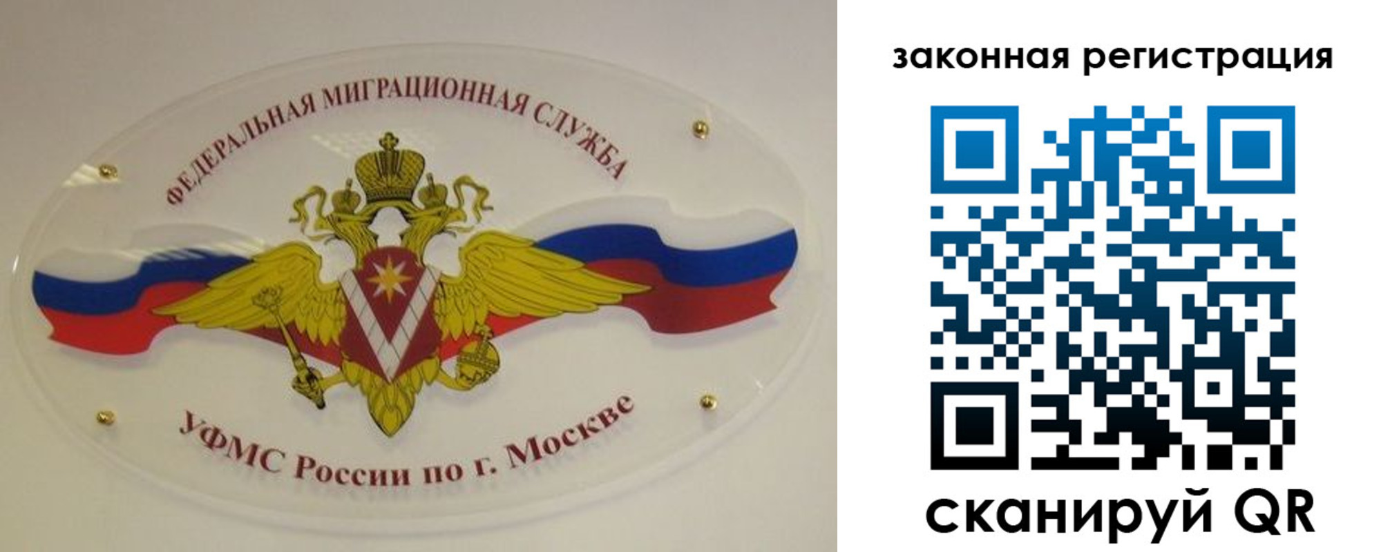 где прописаться в Дубовке